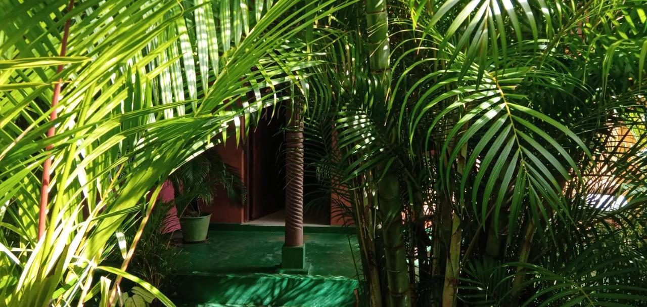 Sigiri Heritage Villa Sigiriya Luaran gambar